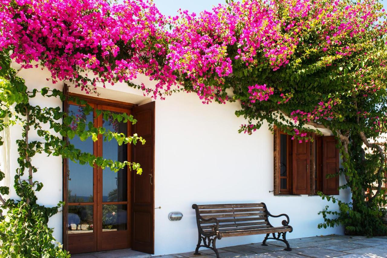 Villa Celestina, Great For Privacy And Seclusion Chrisopigi  エクステリア 写真